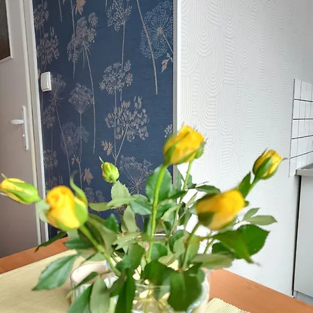 Appartamento Hejszowina