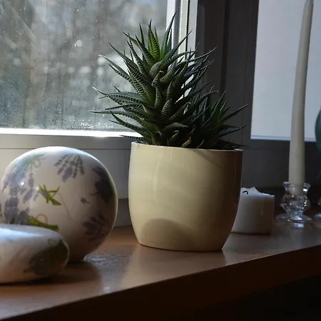Apartmán Hejszowina Kudowa-Zdrój