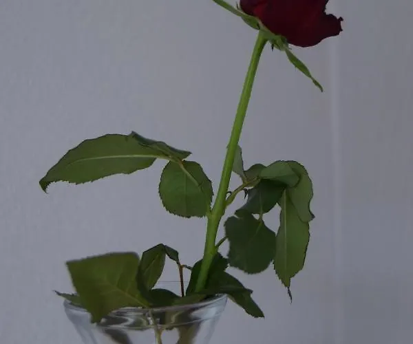 Hejszowina 아파트 쿠도바-즈루이