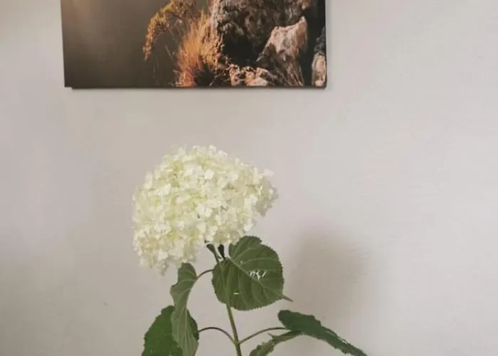 Appartement Hejszowina *