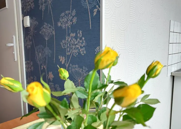 Appartement Hejszowina