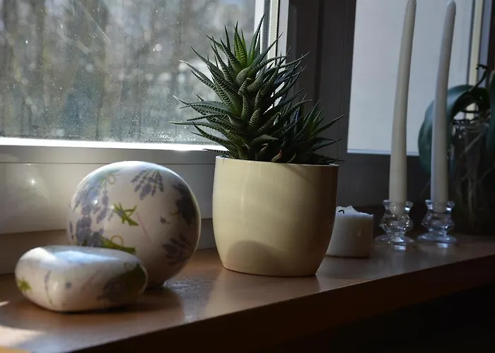 Appartement Hejszowina Kudowa-Zdrój